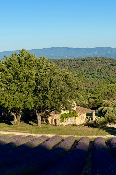 51 - Le Mas de Murs: Villa: Exterior
