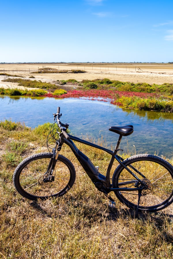 ebike
