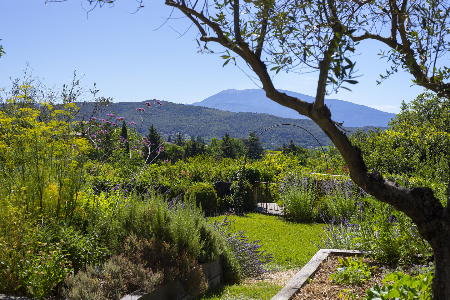 40 - Mas des Anges: Villa: Exterior