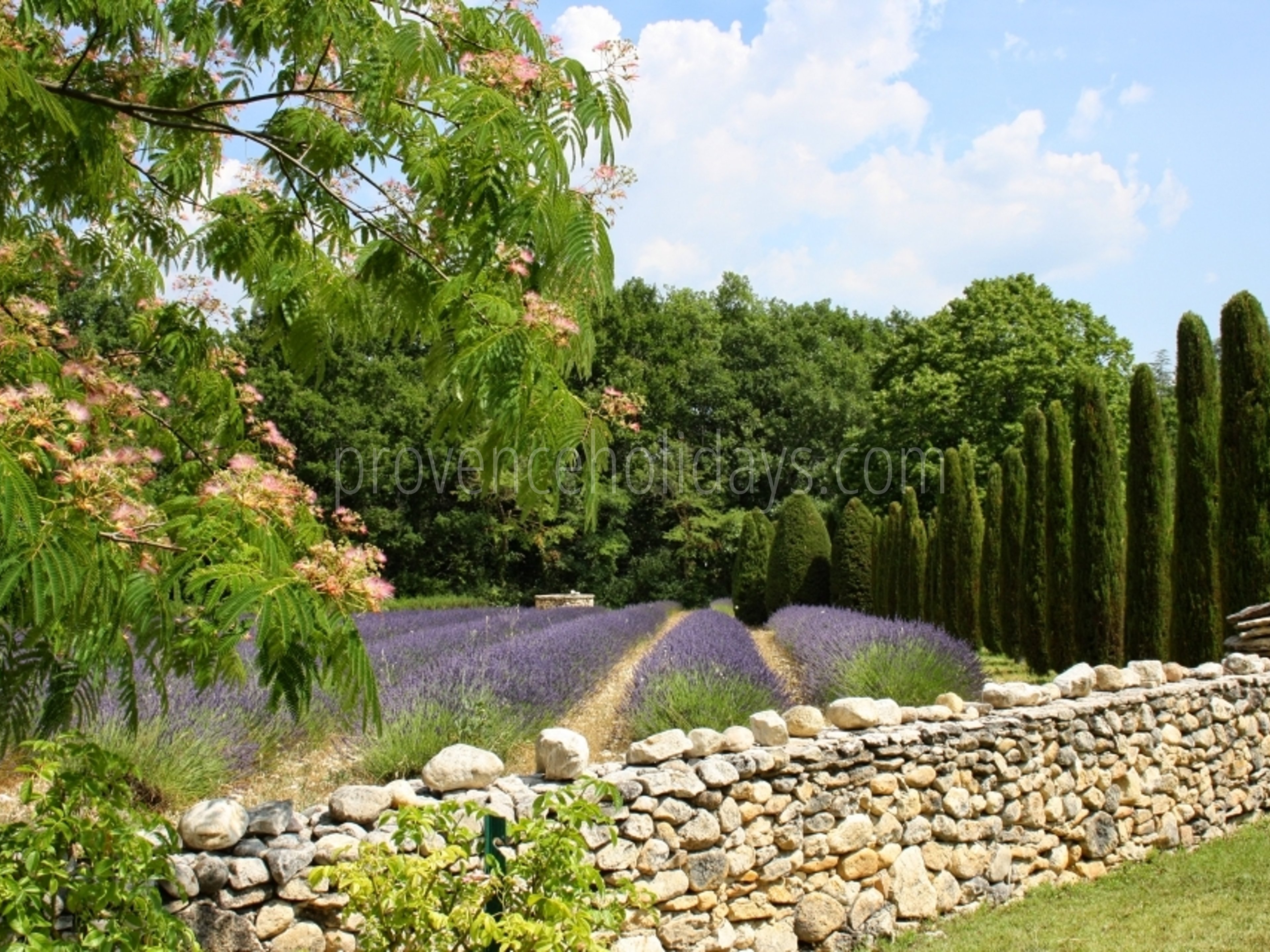 35 - Mas des Lavandes: Villa: Exterior
