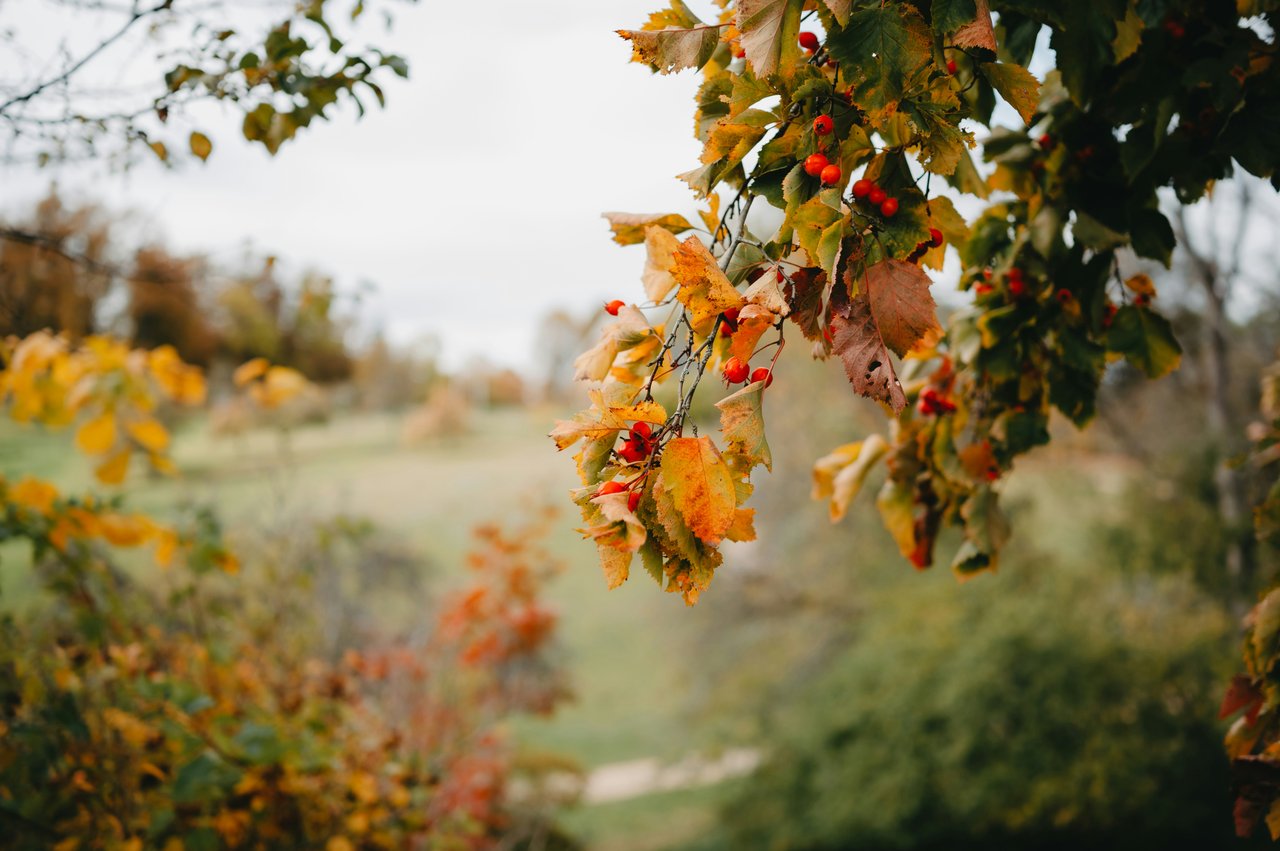 autumn provence