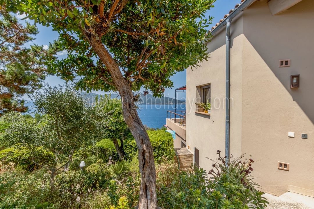 19 - Intieme villa in Hyères: Villa: Exterior