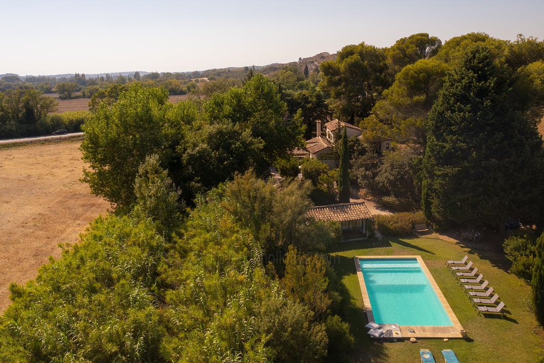 Stunning property surrounded by olive groves in Maussane 5 - Mas du Rosier: Villa: Exterior