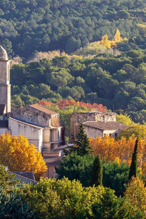 autumn landscape