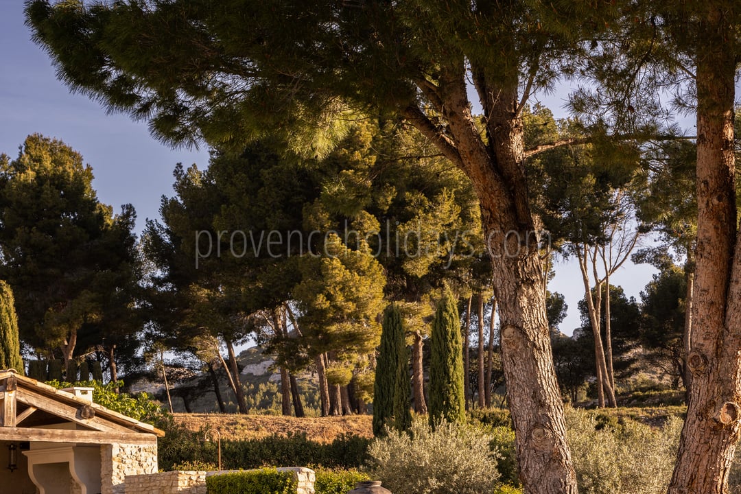 44 - La Bastide de Maussane: Villa: Exterior