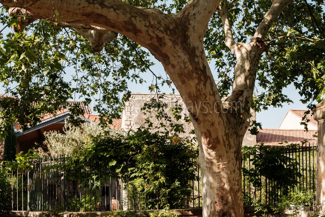 41 - La Bastide du Millénaire: Villa: Exterior