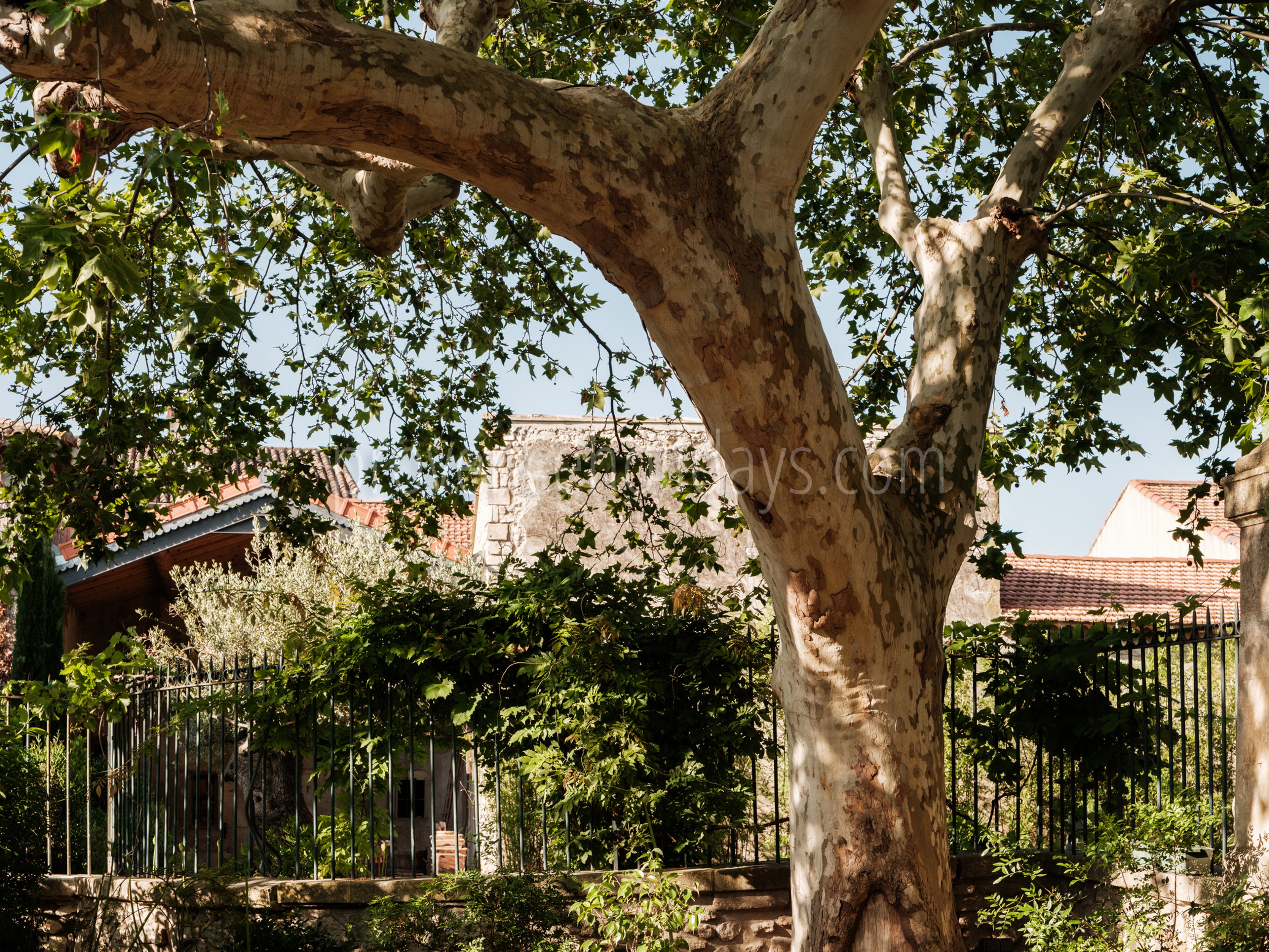 41 - La Bastide du Millénaire: Villa: Exterior