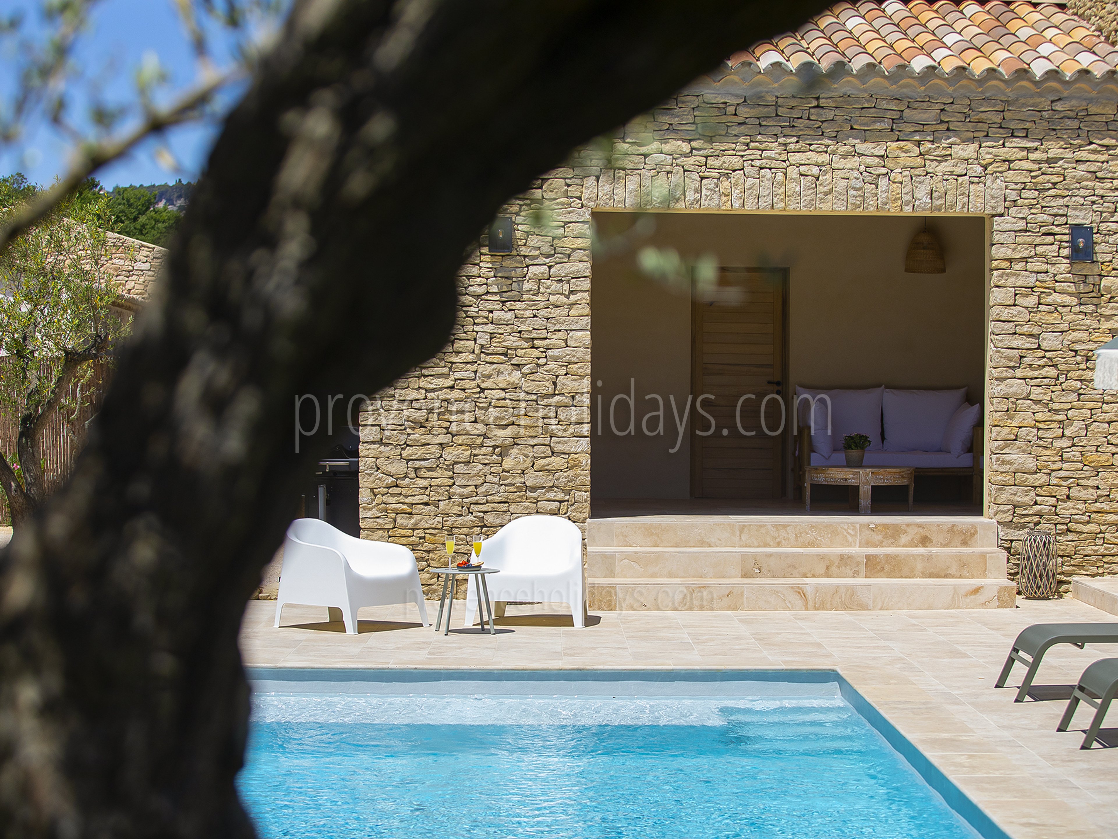 14 - Mas de Fontblanche: Villa: Pool