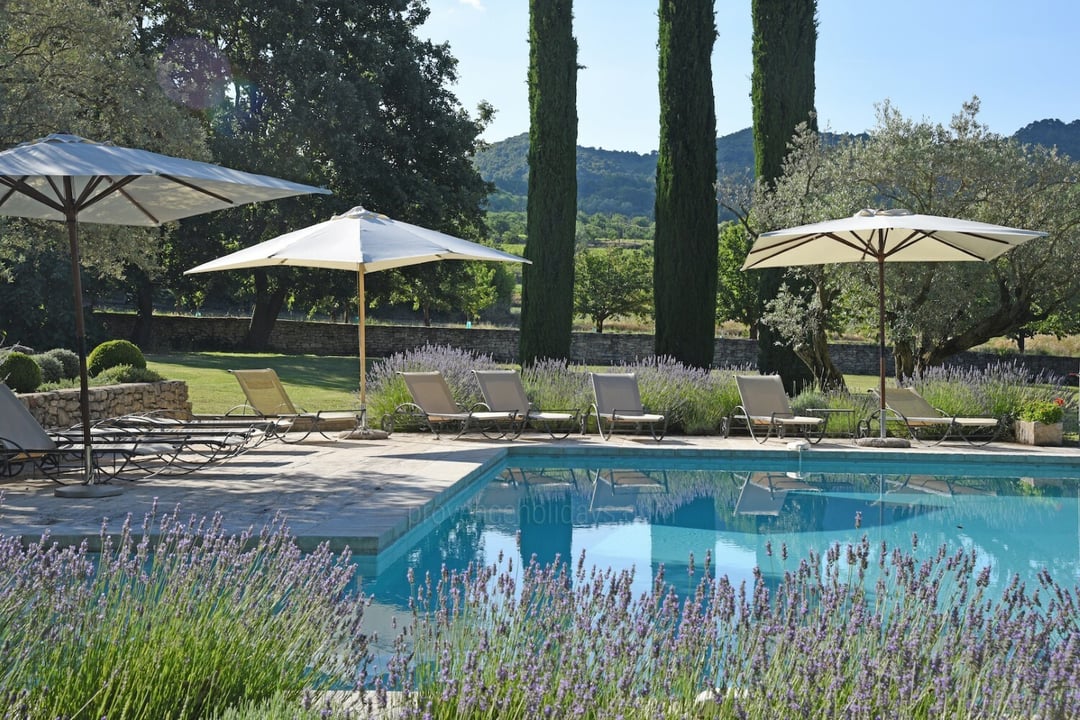 Mas with private tennis court near Bonnieux 4 - Le Mas des Buis: Villa: Pool