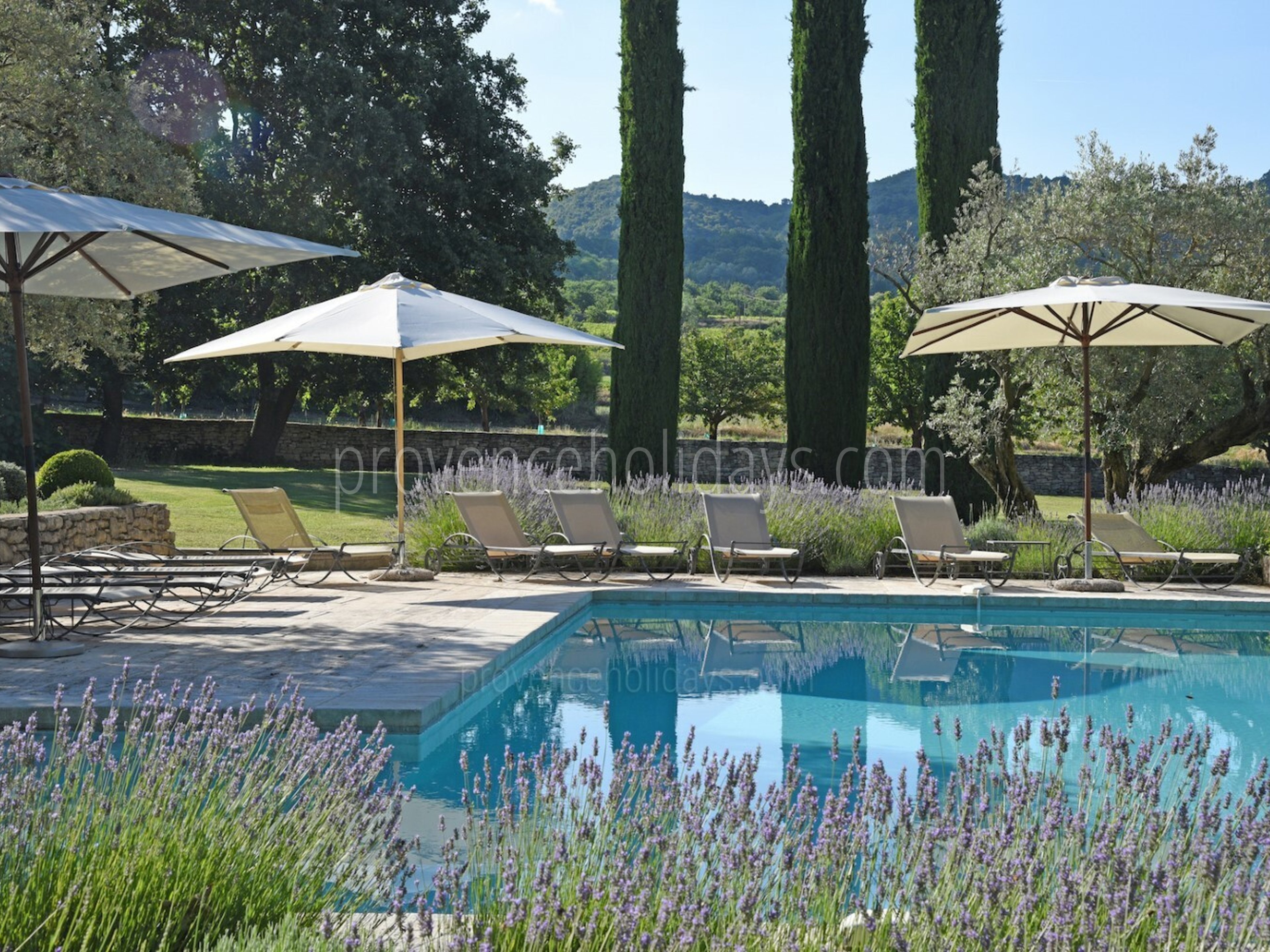 7 - Le Mas des Buis: Villa: Pool