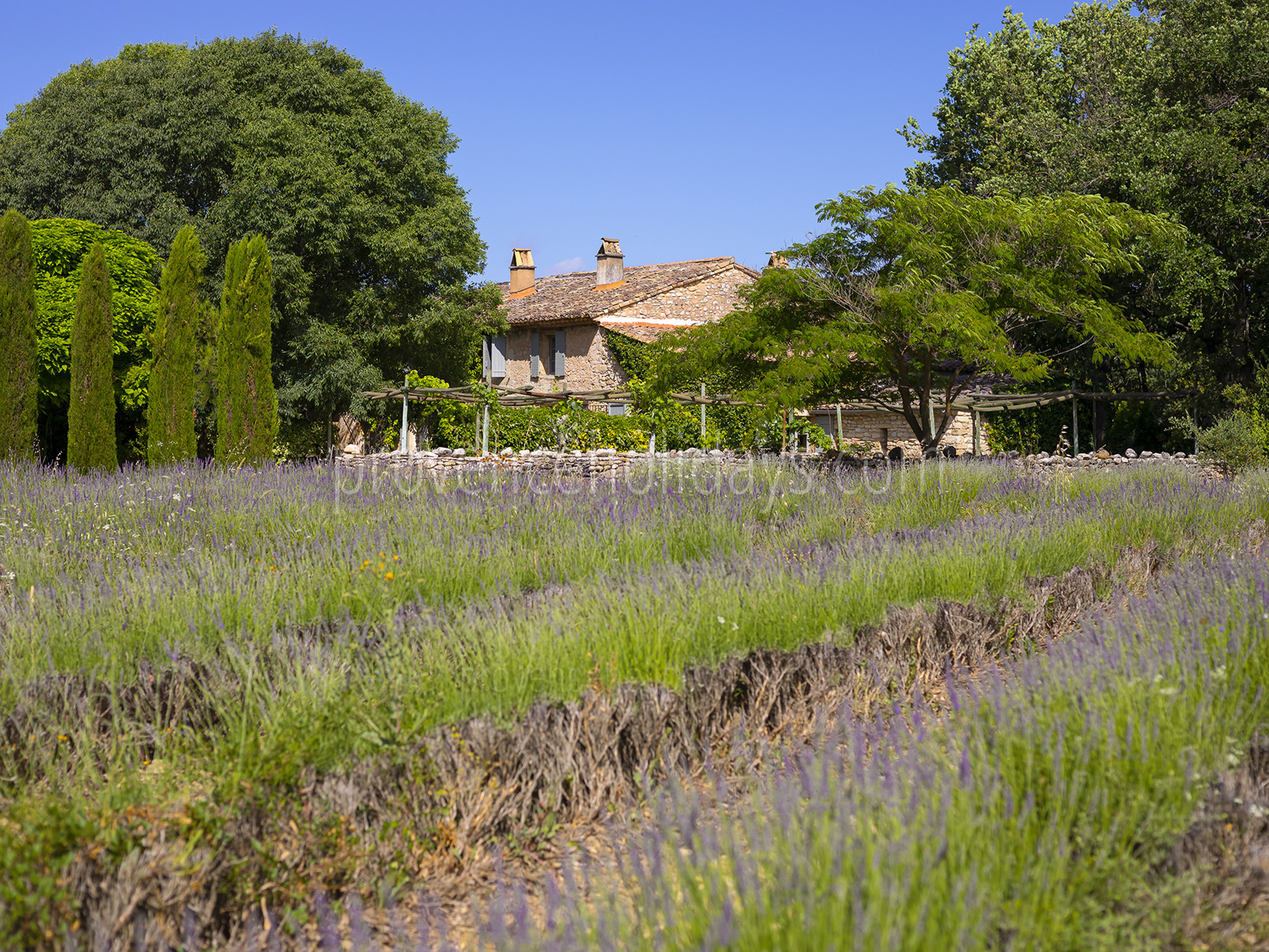 5 - Mas des Lavandes: Villa: Exterior