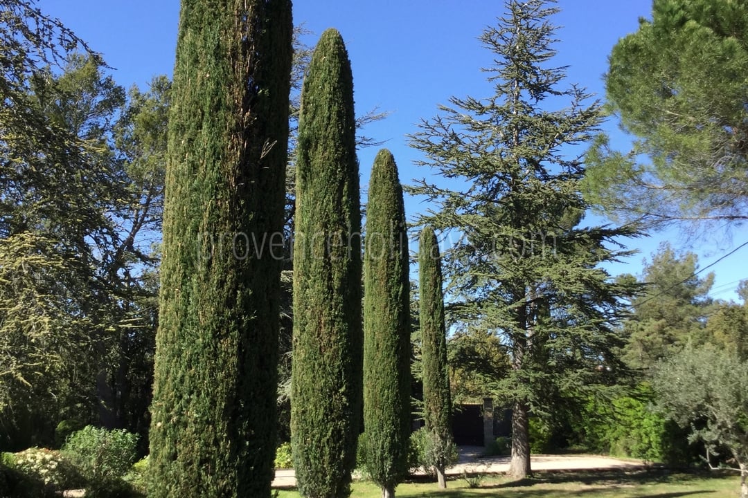 39 - Mas Tranquil: Villa: Exterior