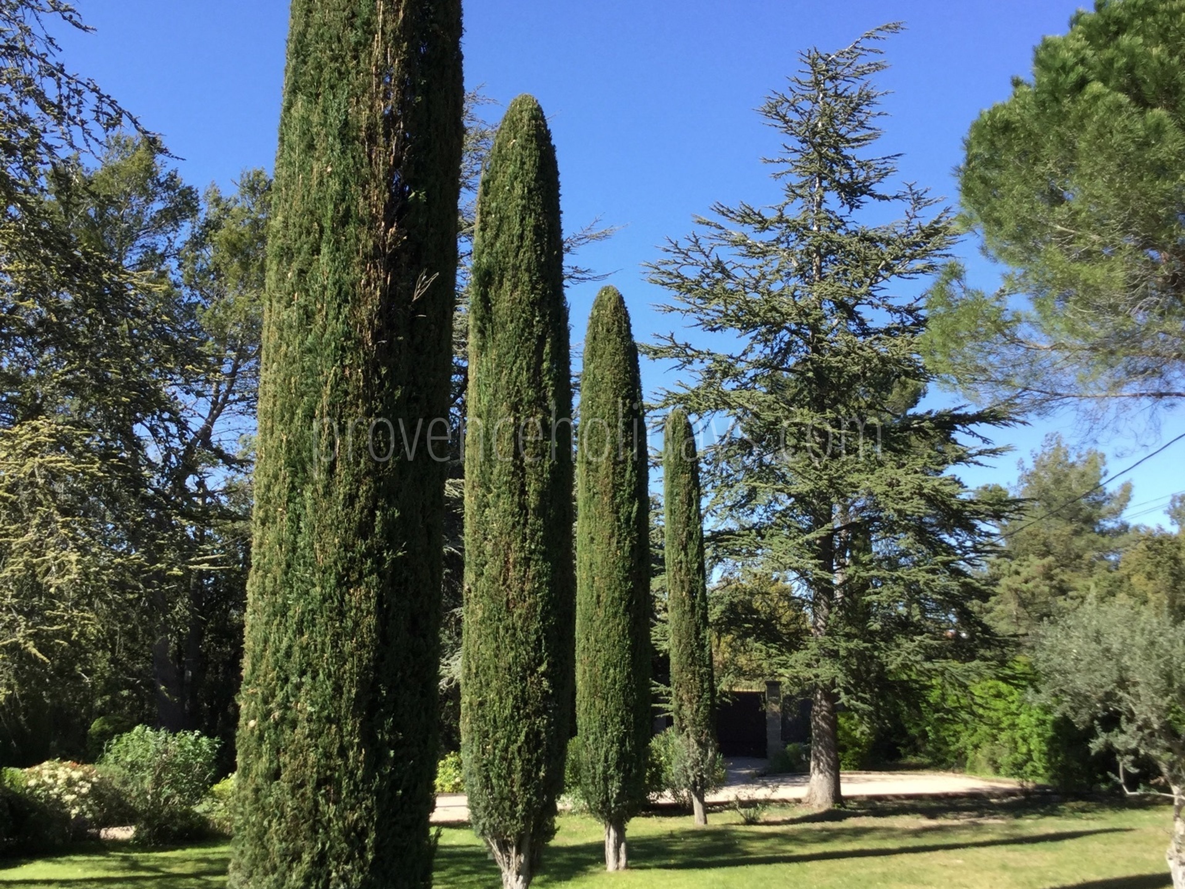 39 - Mas Tranquil: Villa: Exterior