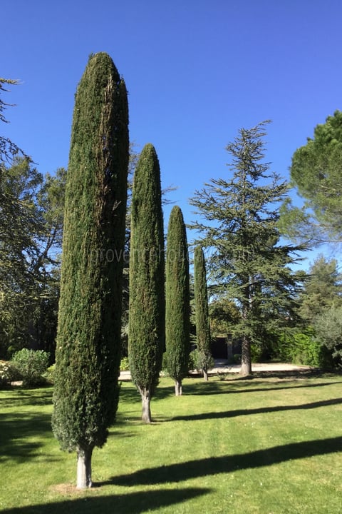 39 - Mas Tranquil: Villa: Exterior