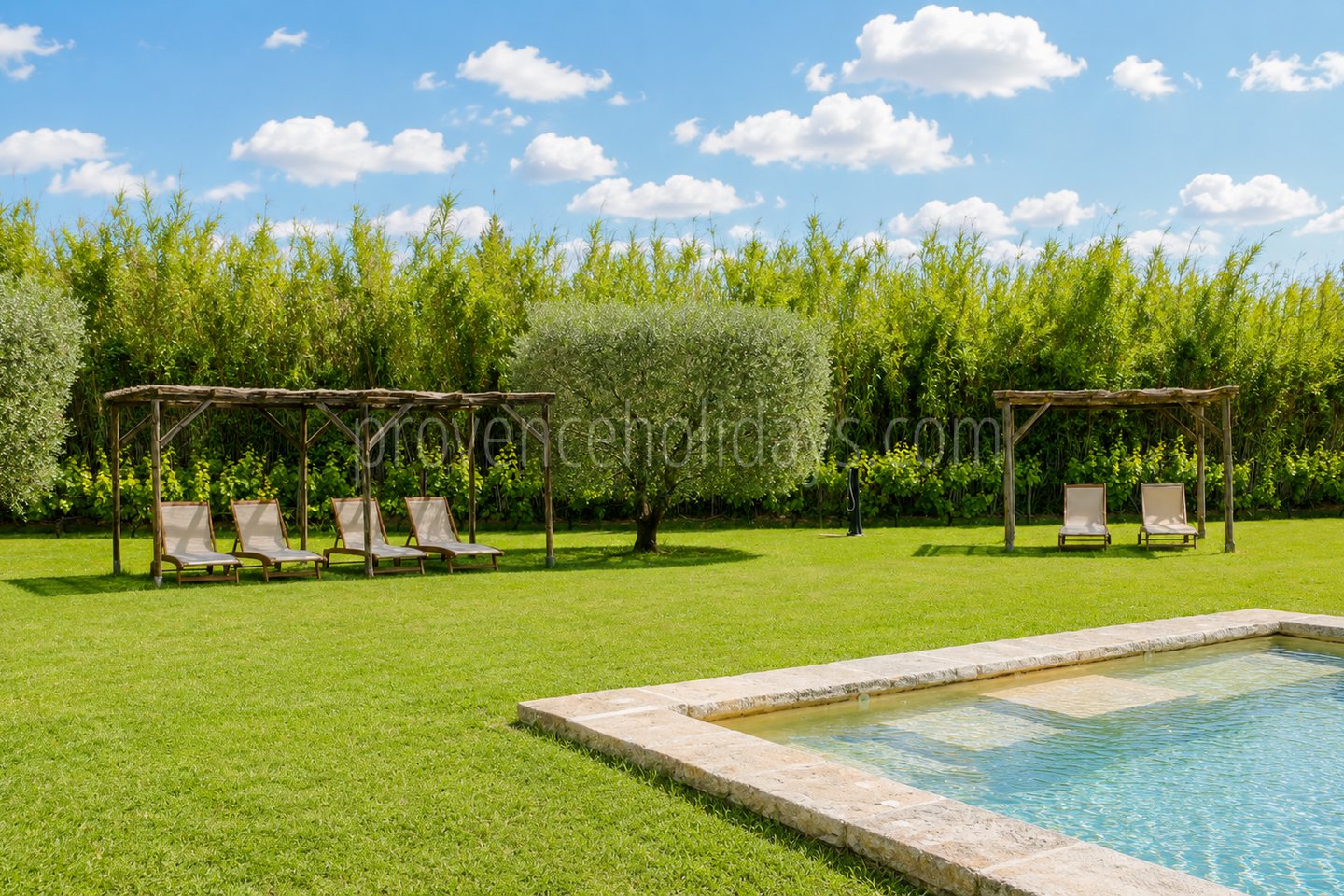 27 - Mas de l\'Orchidée: Villa: Pool