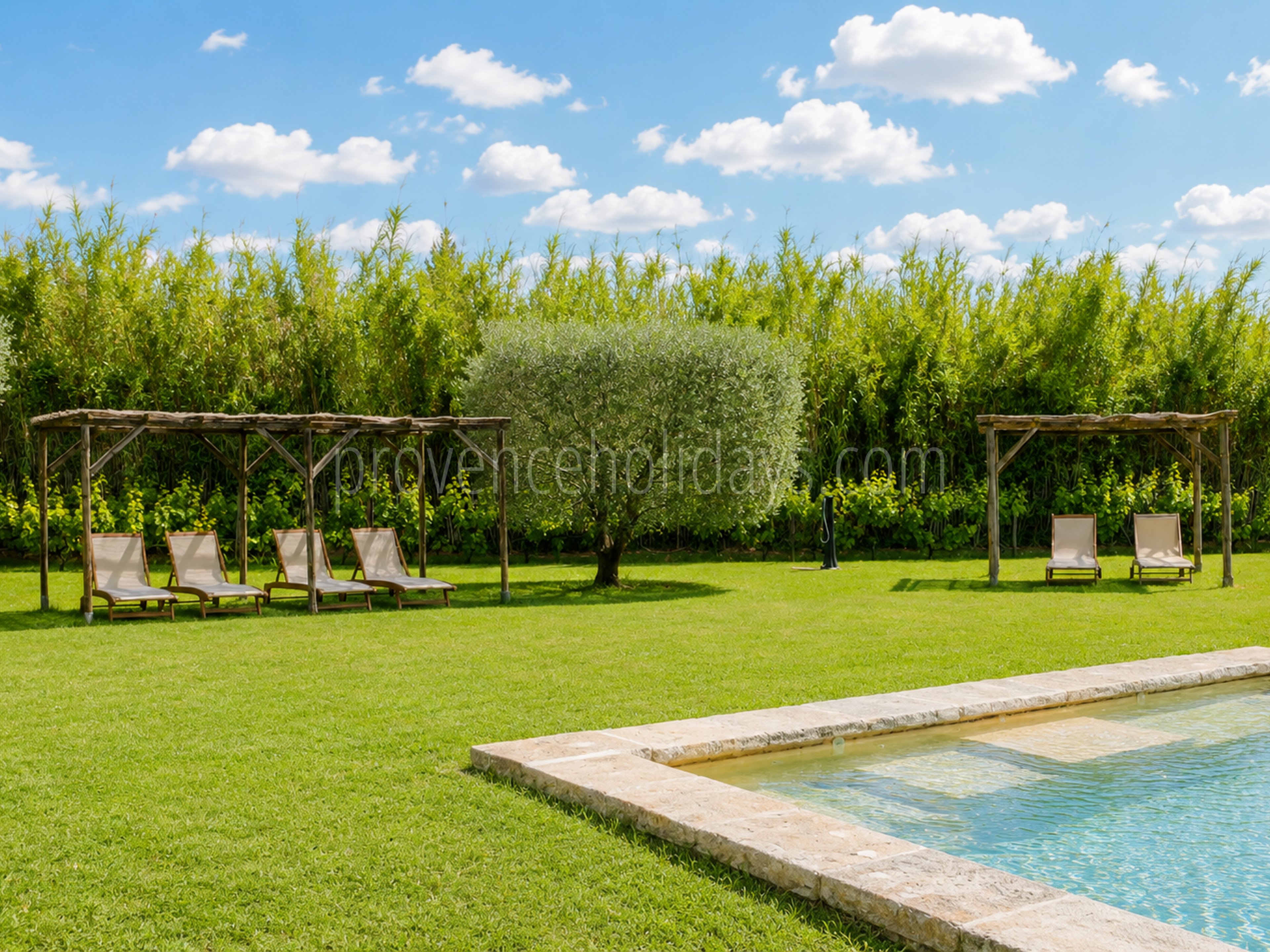 27 - Mas de l\'Orchidée: Villa: Pool