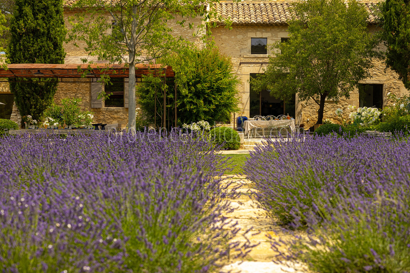 41 - Le Mas Secret: Villa: Exterior
