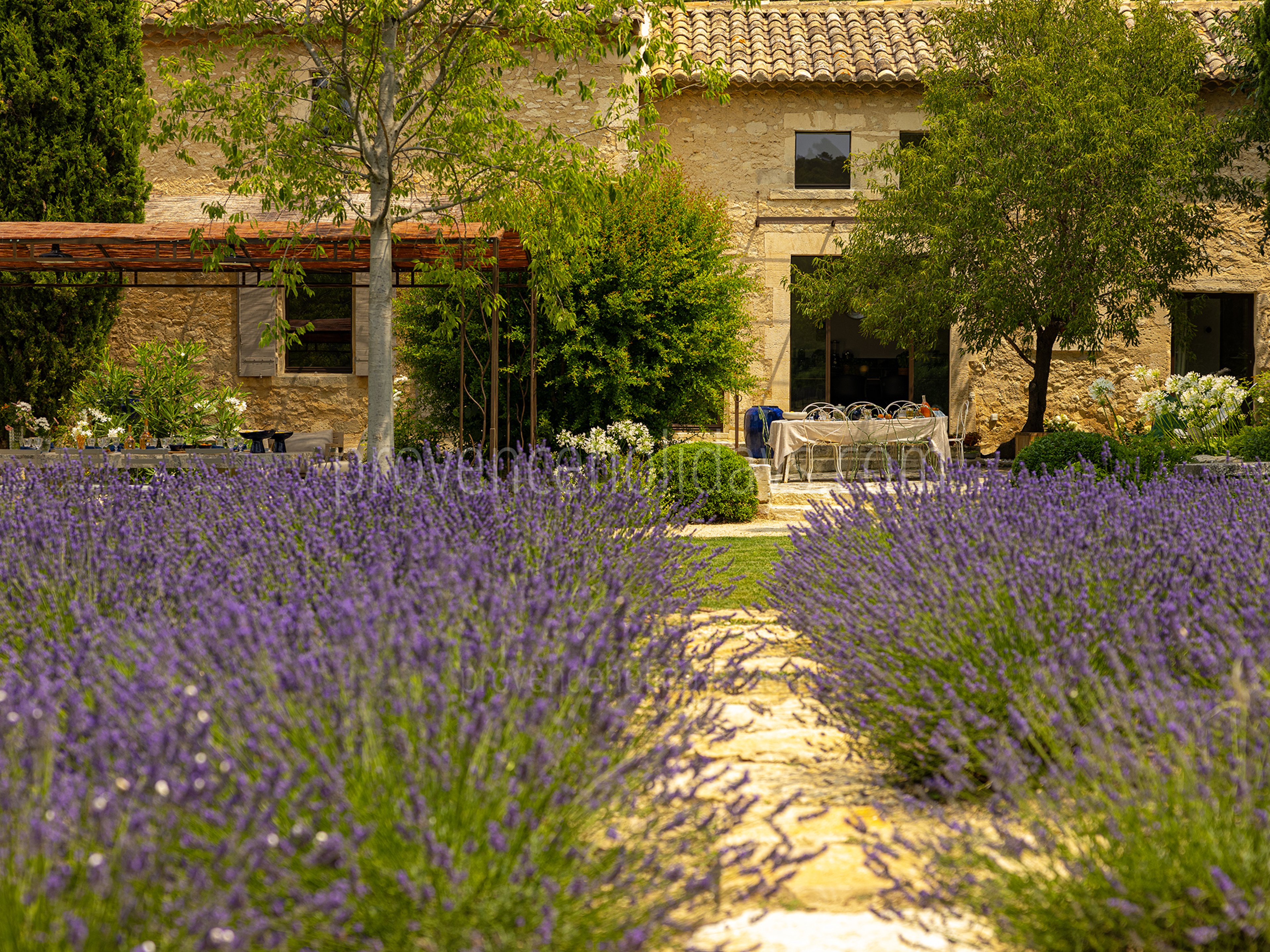 41 - Le Mas Secret: Villa: Exterior