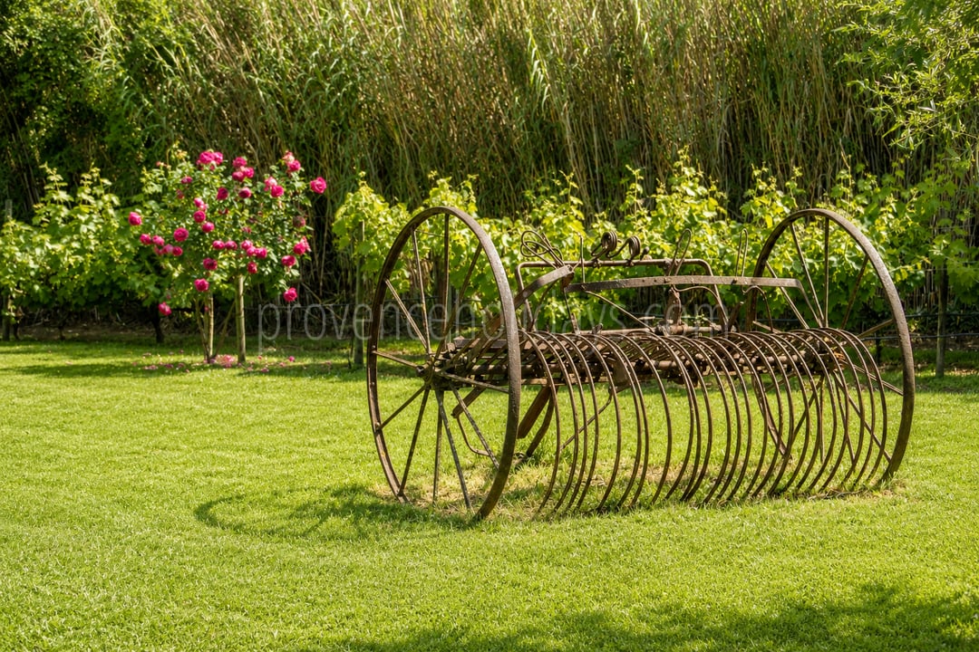 40 - Mas de l\'Orchidée: Villa: Exterior
