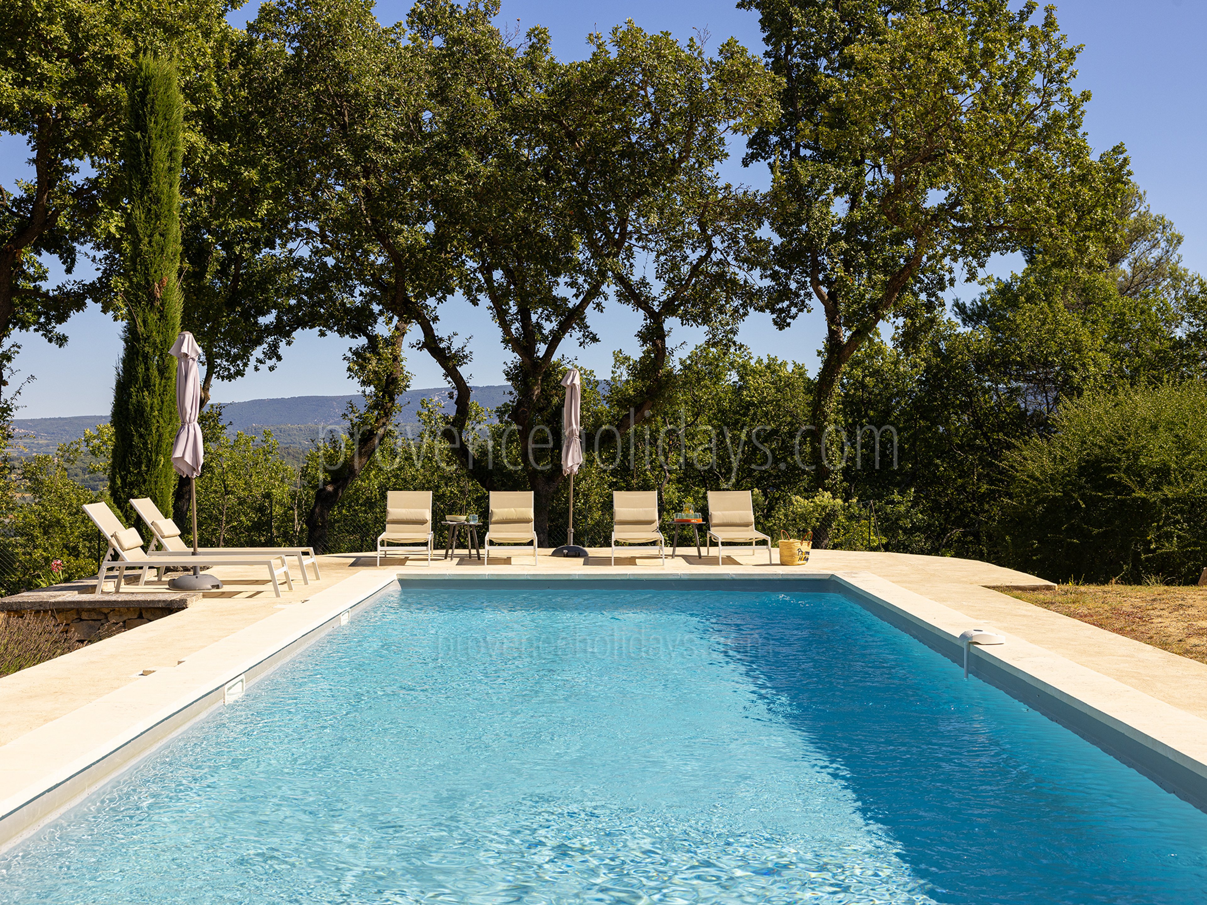 31 - Mas des Firmins: Villa: Pool