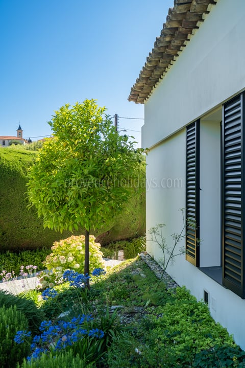 42 - Villa Blanche: Villa: Exterior