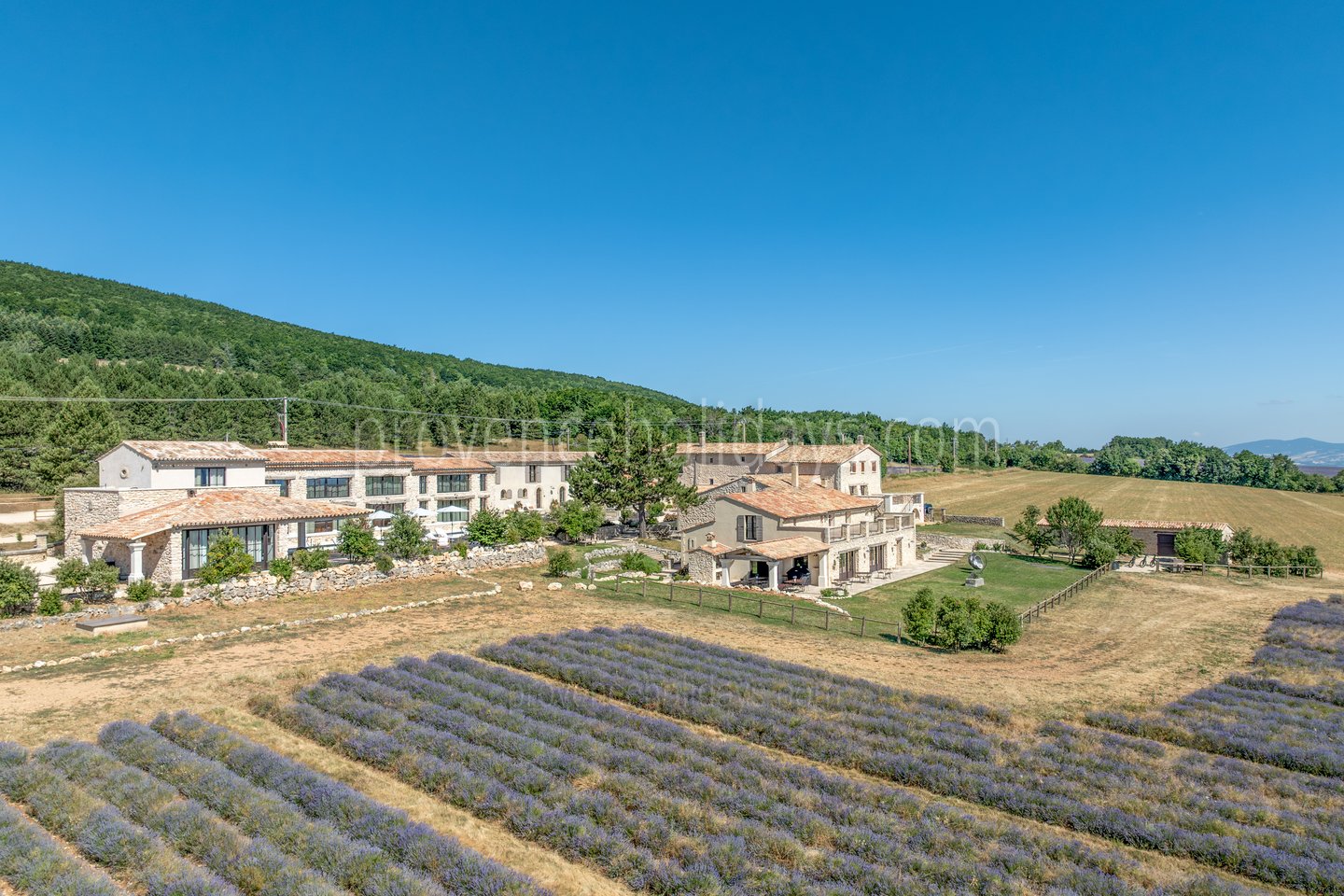 100 - Domaine Château du Bois: Villa: Exterior
