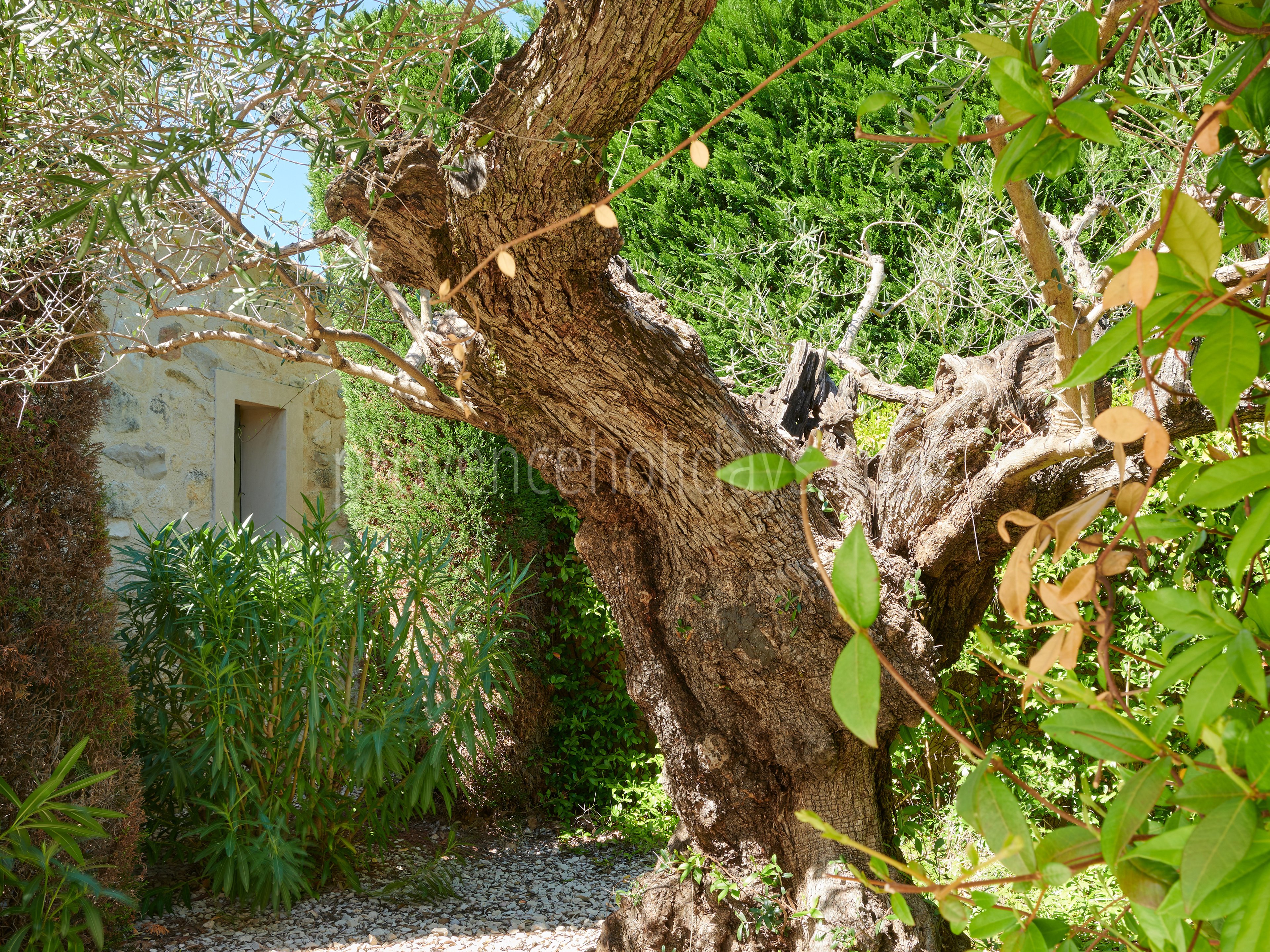61 - Mas de l\'Artisan: Villa: Exterior