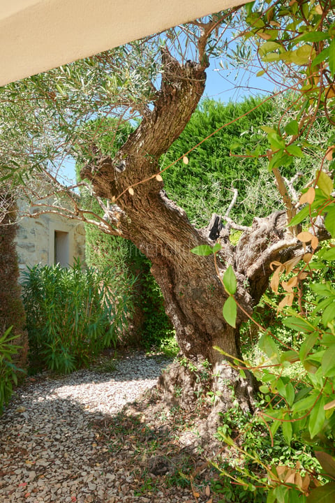 61 - Mas de l\'Artisan: Villa: Exterior