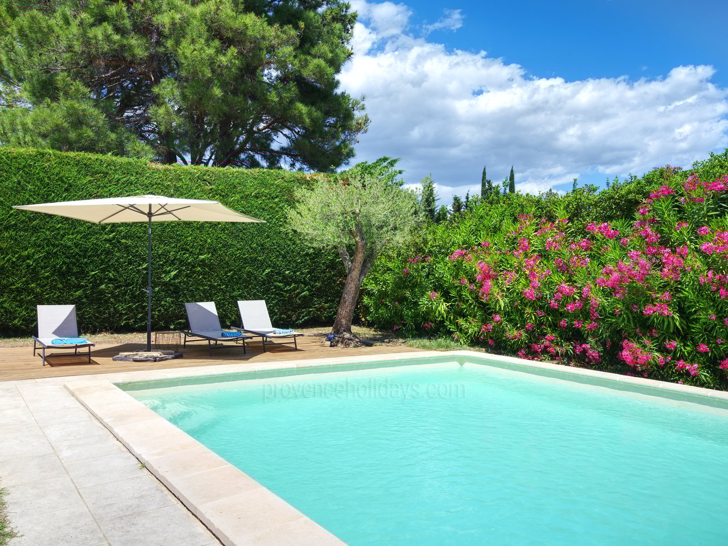 8 - Le Dolmen du Midi: Villa: Pool