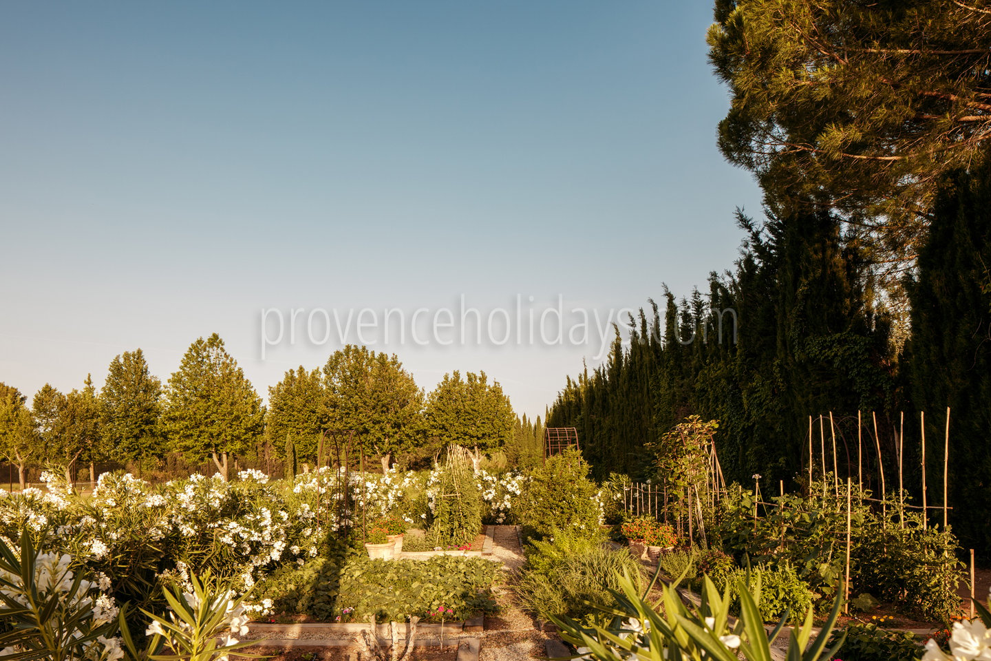 76 - Mas de Maussane: Villa: Exterior