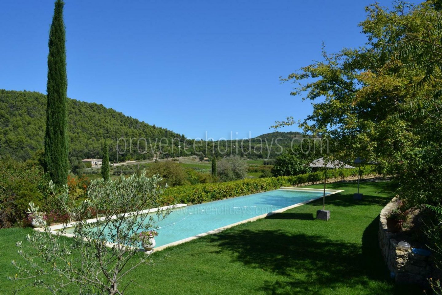 15 - Ménerbes Mas: Villa: Pool