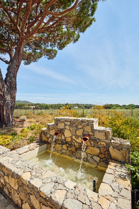 21 - Mas Spinelle: Villa: Exterior