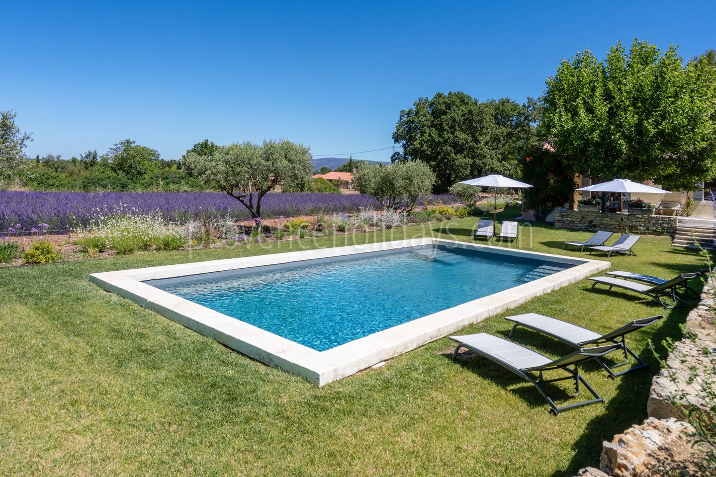 11 - Mas Florence: Villa: Pool