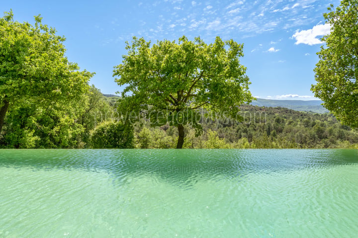 58 - Le Mas des Vignes: Villa: Pool