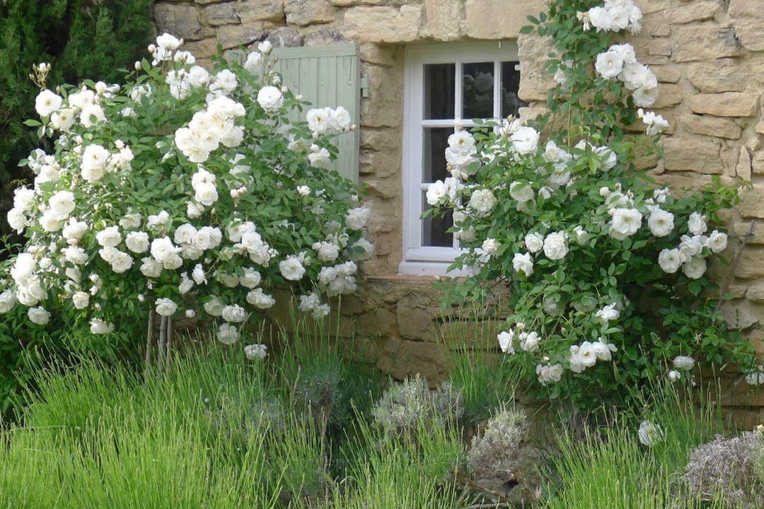 29 - La Ferme du Lavoir: Villa: Exterior