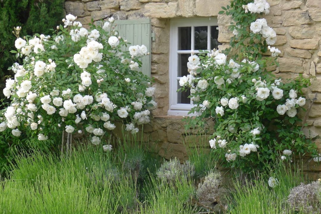 30 - La Ferme du Lavoir: Villa: Exterior