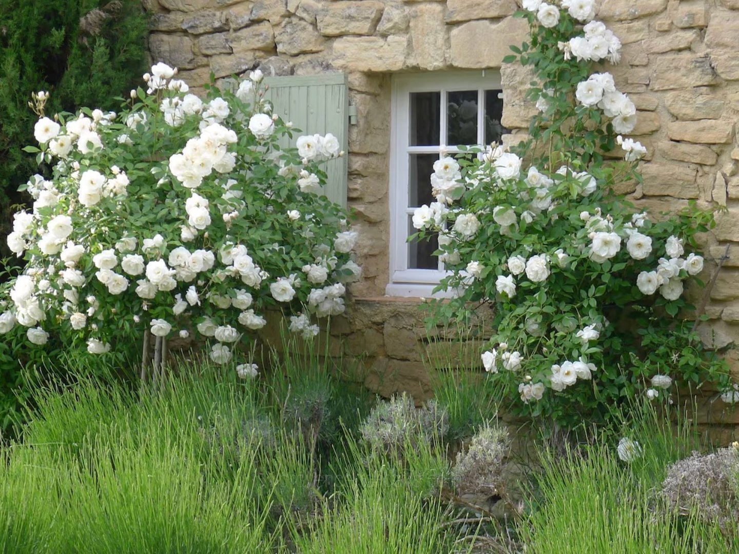 29 - La Ferme du Lavoir: Villa: Exterior