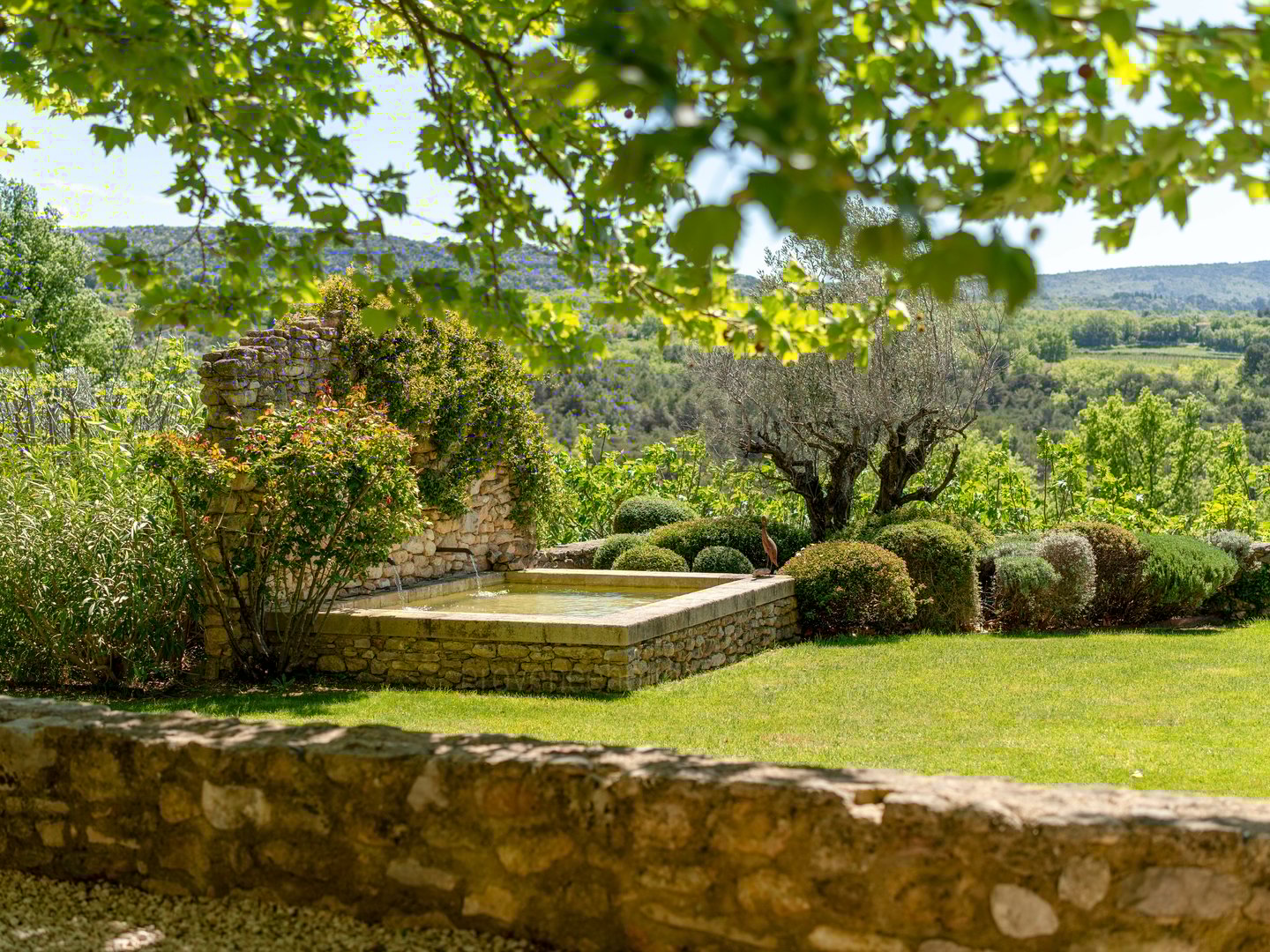 61 - Le Mas des Vignes: Villa: Exterior