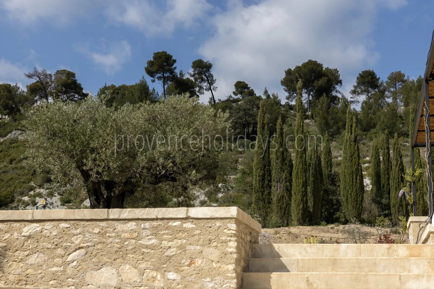 35 - Le Loup des Alpilles: Villa: Exterior