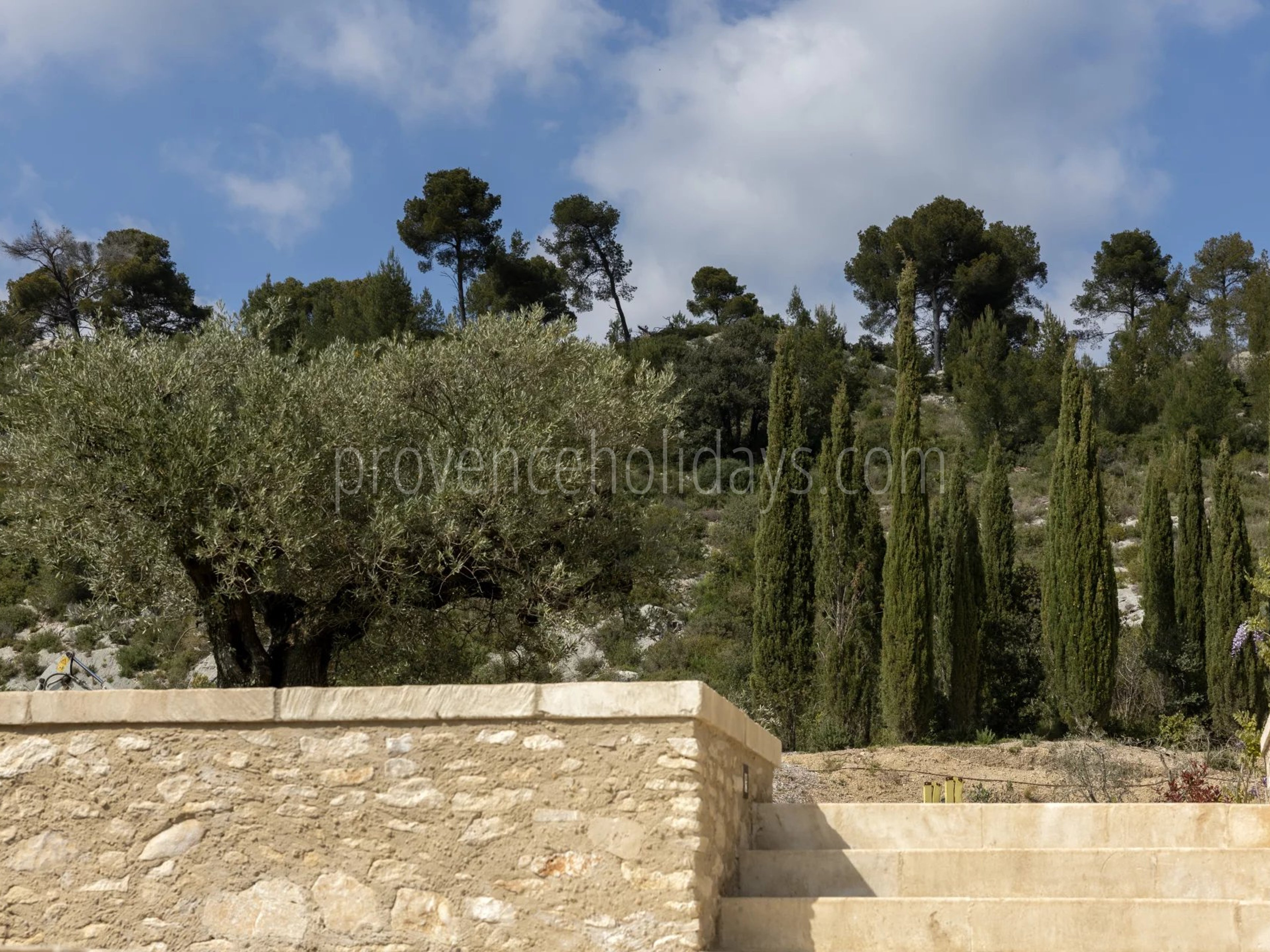 35 - Le Loup des Alpilles: Villa: Exterior