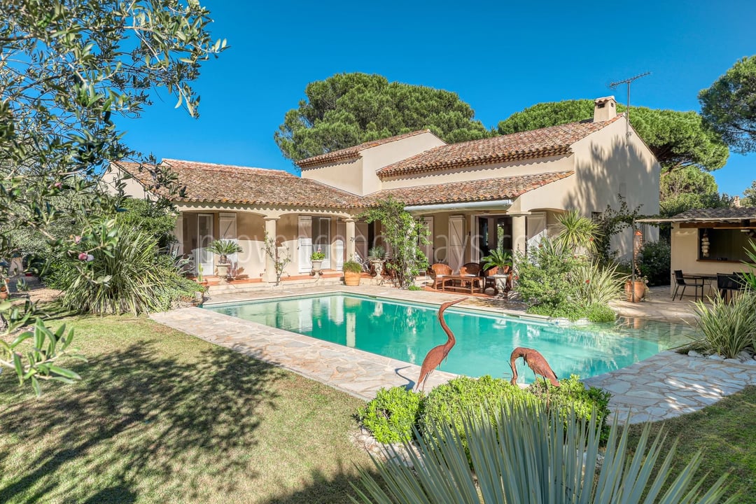 20 - Villa avec maison d’invités à Grimaud: Villa: Pool