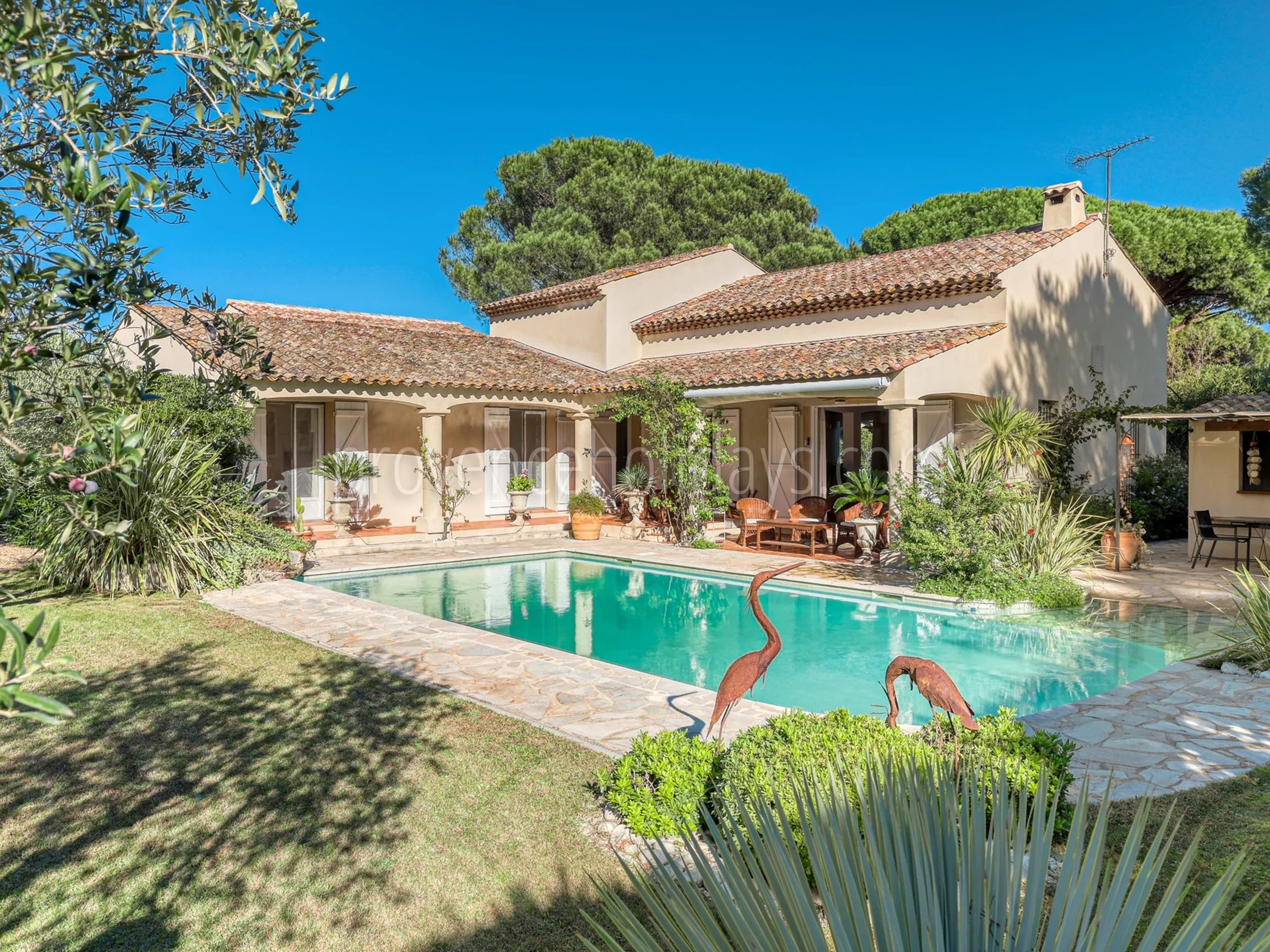 20 - Villa avec maison d’invités à Grimaud: Villa: Pool