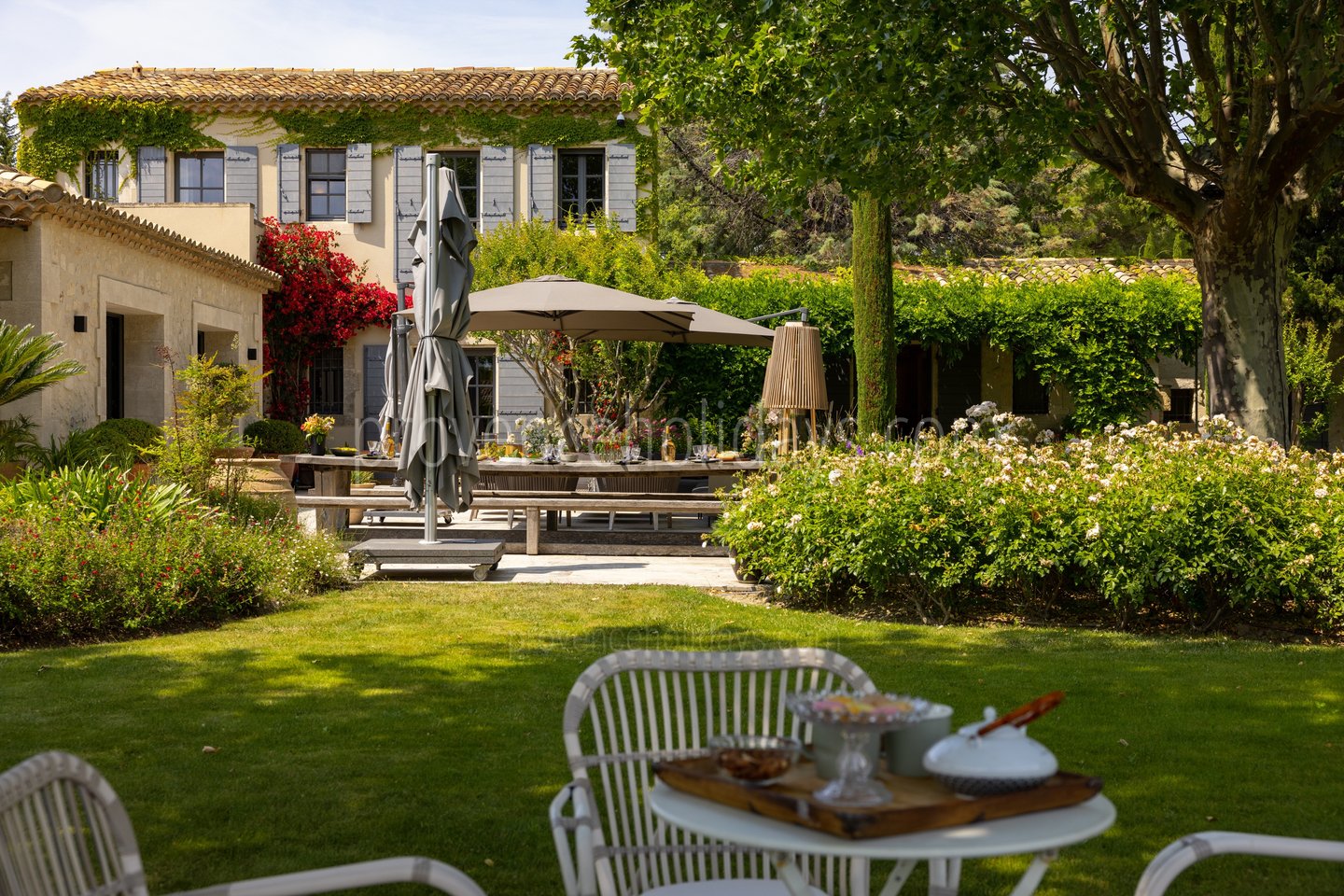 20 - Mas Paradis: Villa: Exterior
