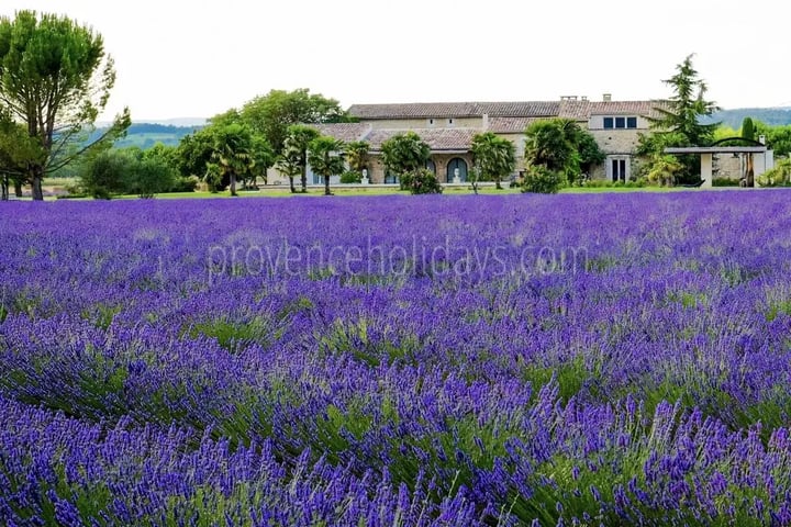 16 - Bonnieux Mas: Villa: Exterior