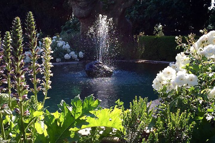 Botanical Gardens in Cucuron