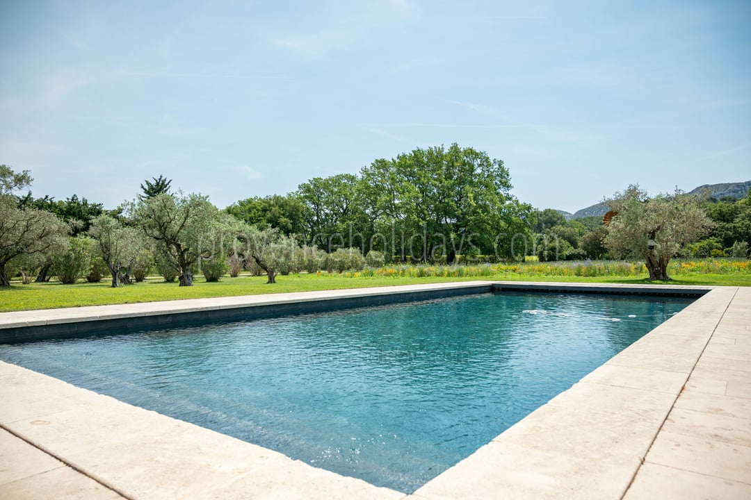 53 - Mas Provence: Villa: Pool