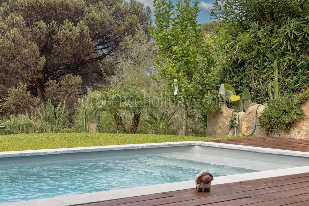 26 - Maison au Plan-de-la-Tour: Villa: Pool