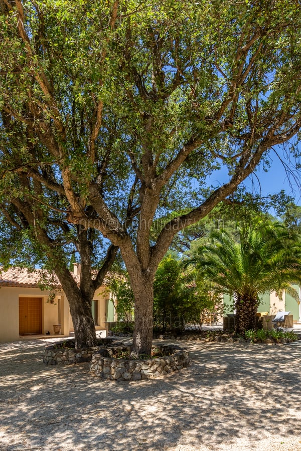 1 - Villa Luminis: Villa: Exterior