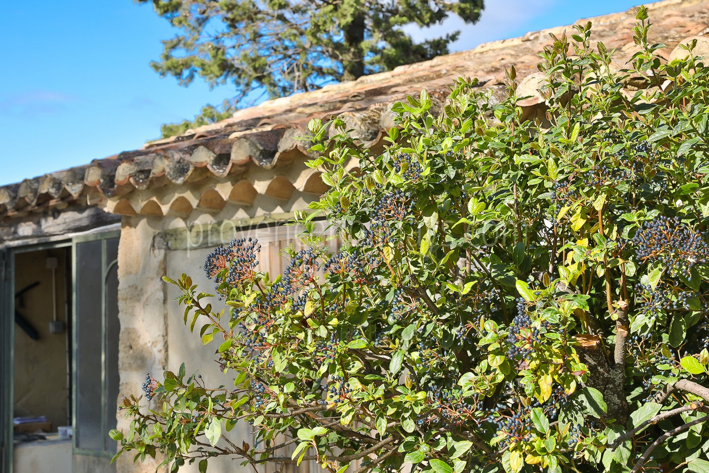 16 - Bastide Sainte-Cécile: Villa: Exterior