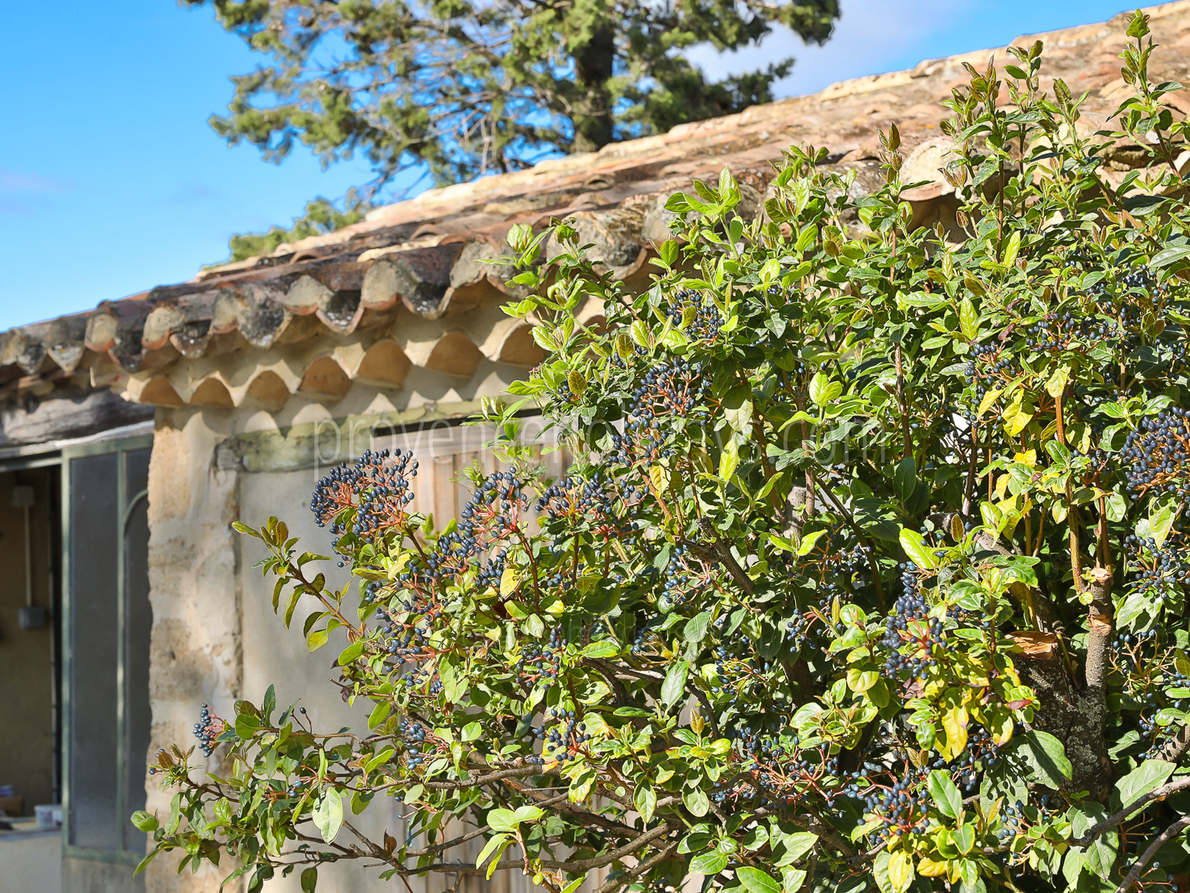 16 - Bastide Sainte-Cécile: Villa: Exterior